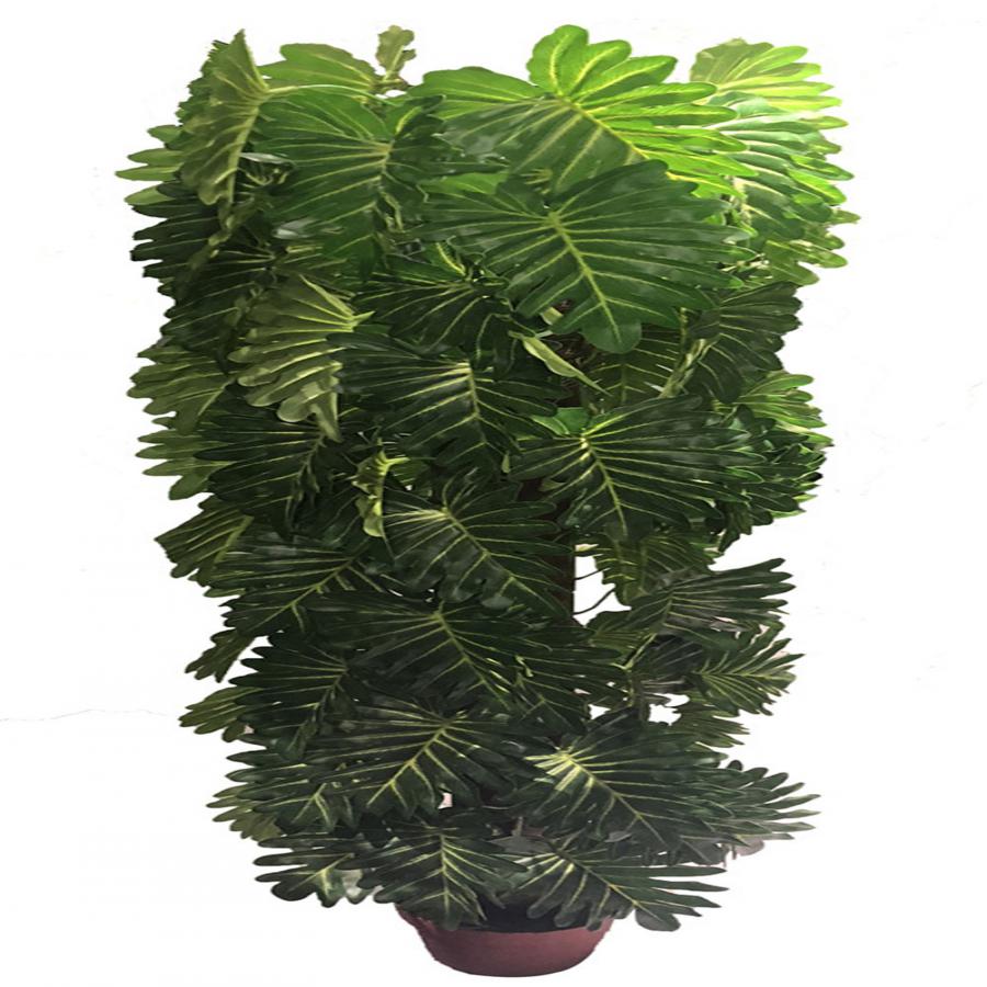 221001736219-galerias el triunfo