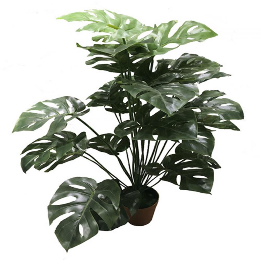 221001736221-galerias el triunfo