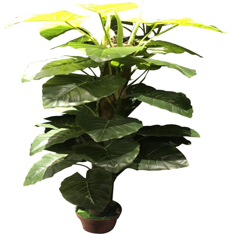 281001736193-galerias el triunfo