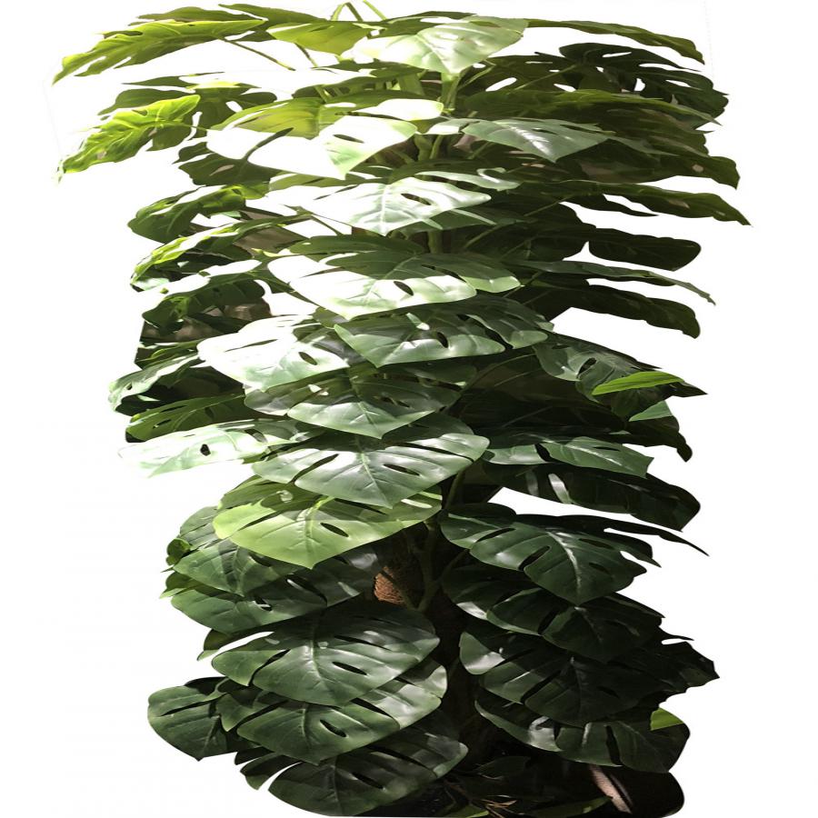 281001736194-galerias el triunfo