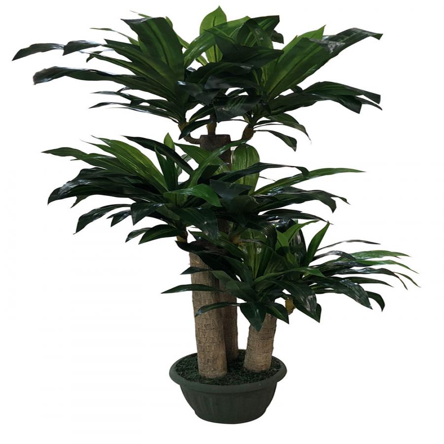 281001736200-galerias el triunfo