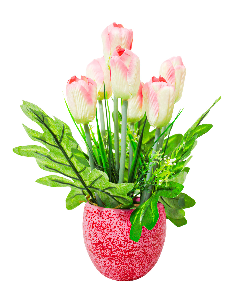 301001736850-galerias el triunfo