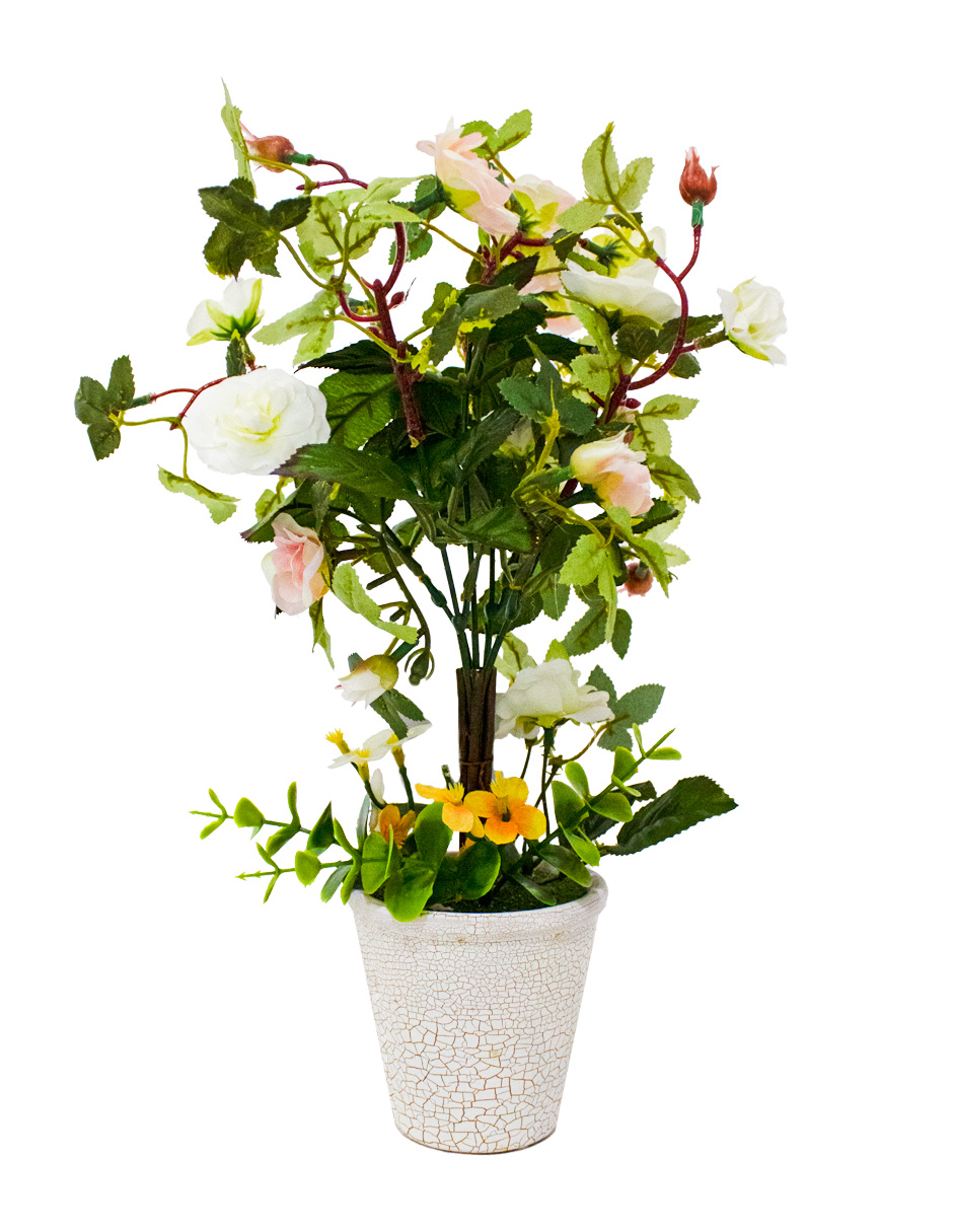 301001736874-galerias el triunfo