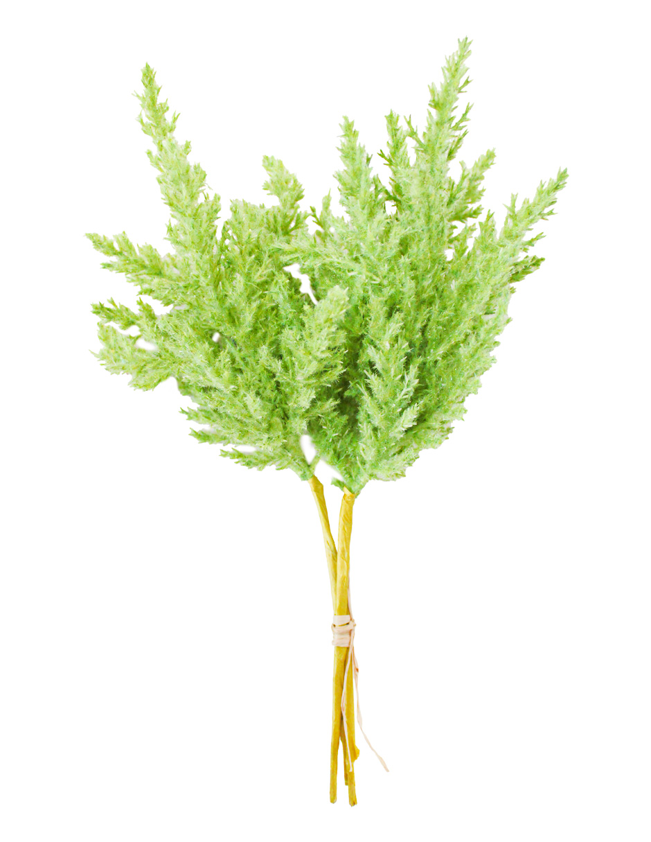 301001736887-galerias el triunfo