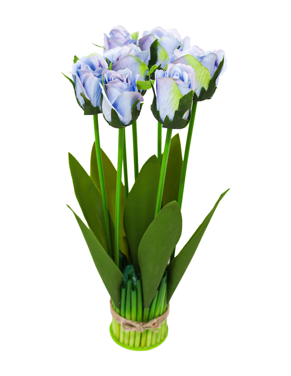 302001736036-galerias el triunfo