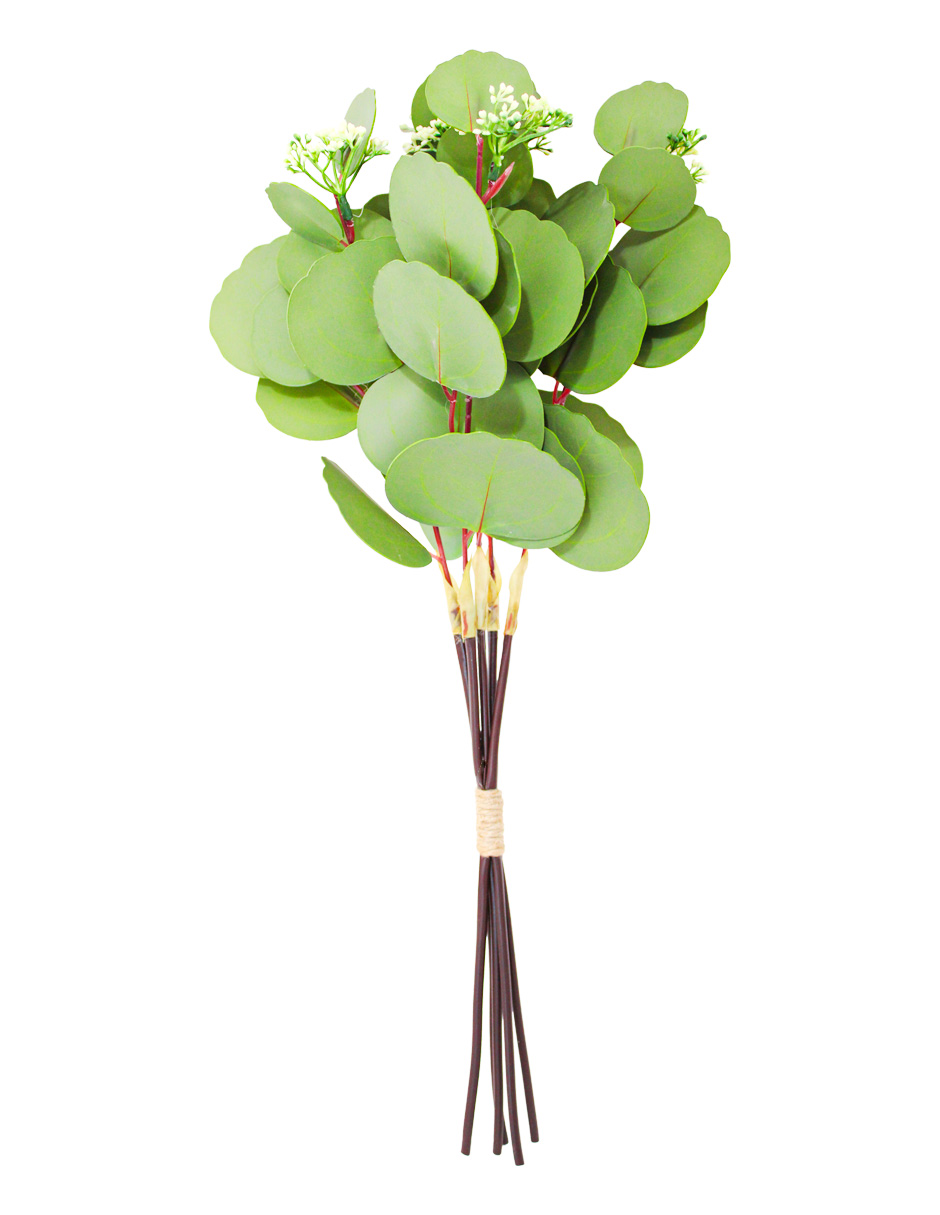 302001736053-galerias el triunfo