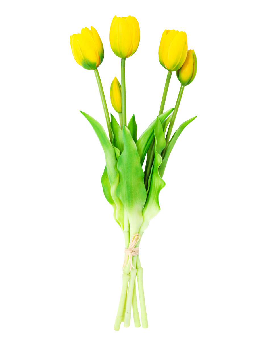 302001736064-galerias el triunfo