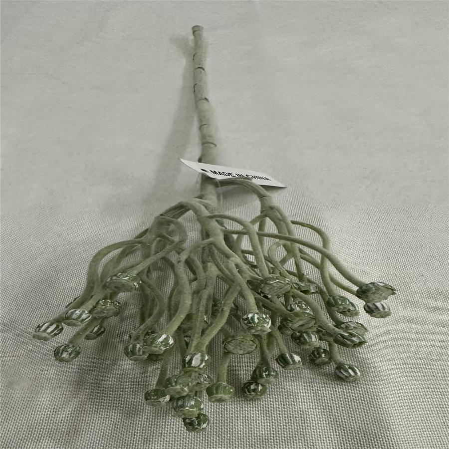 303001736978-galerias el triunfo