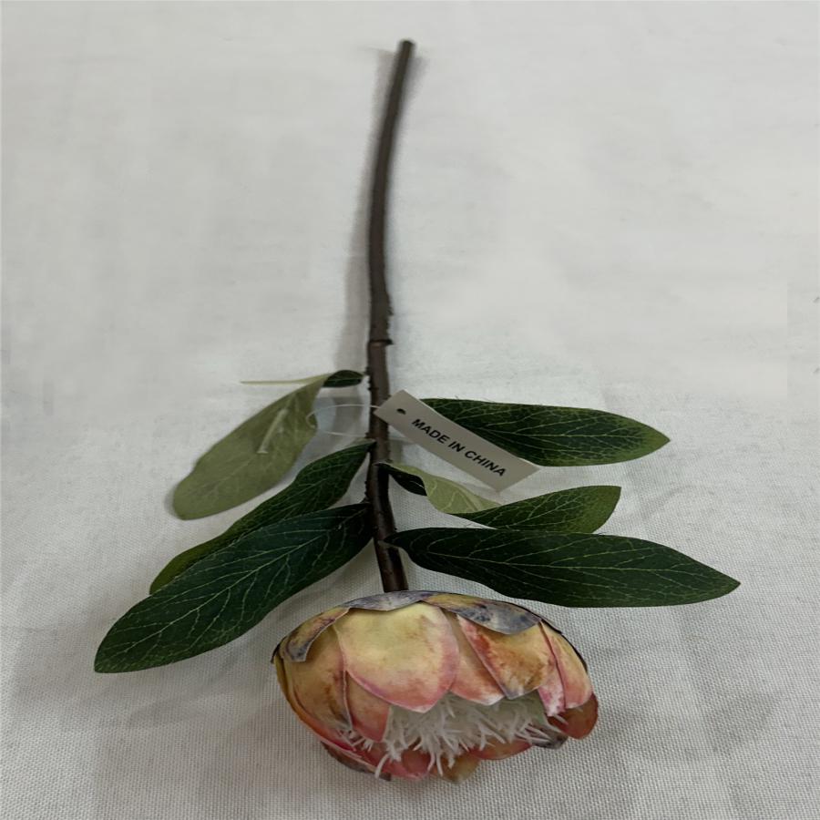 303001736989-galerias el triunfo