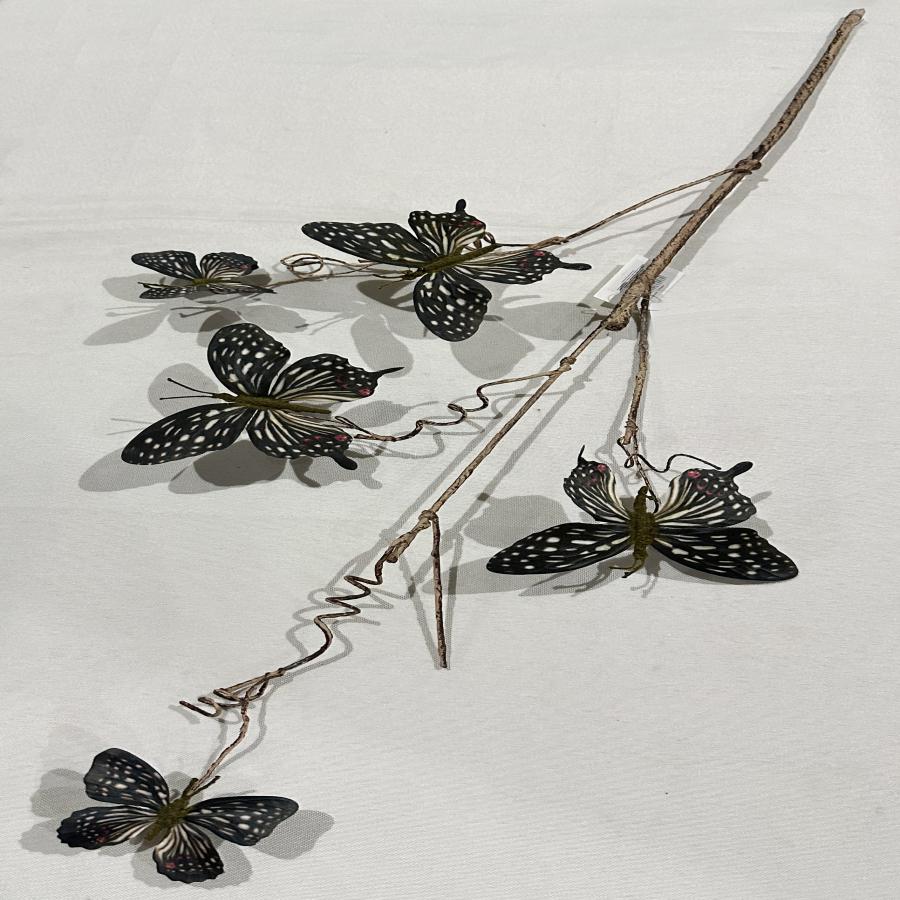 303001736998-galerias el triunfo