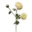 Vara de flor - Galerías el Triunfo - 022032494025