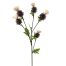 Vara con flor - Galerías el Triunfo - 022032494026