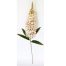 Vara de flor Jacinto - Galerías el Triunfo - 022032746088