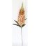 Vara de flor Jacinto - Galerías el Triunfo - 022032746089