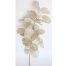 Vara de hojas blancas - Galerías el Triunfo - 022032746162