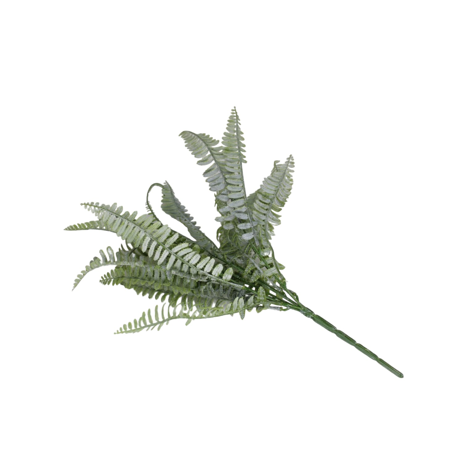 Ramo de helechos - Galerías el Triunfo - 025072097044