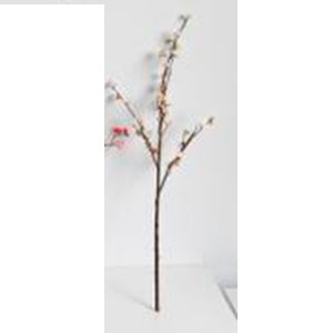 Flor de ciruelo color - Galerías el Triunfo - 025072097052