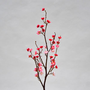 Flor de ciruelo color - Galerías el Triunfo - 025072097054