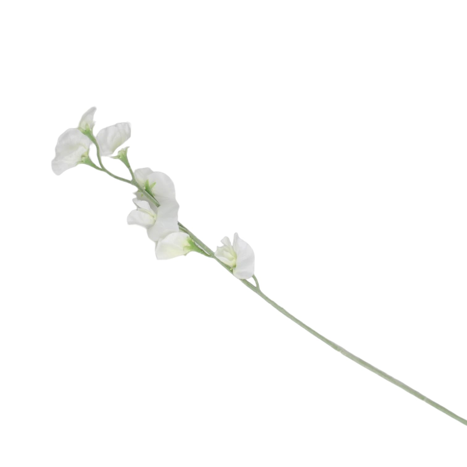 Flores blancas de 10x10x64 - Galerías el Triunfo - 025072097152