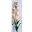 Flor de campanillas rosa - Galerías el Triunfo - 025072097158