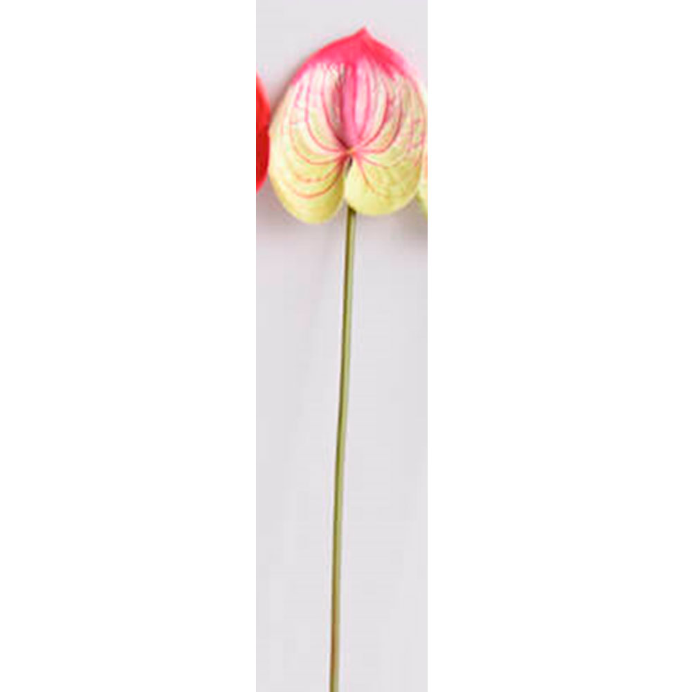 Flor de anturio rosa - Galerías el Triunfo - 025072097164