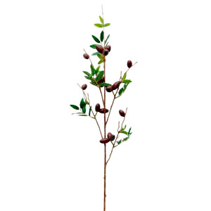 Rama de aceitunas café - Galerías el Triunfo - 028071005120