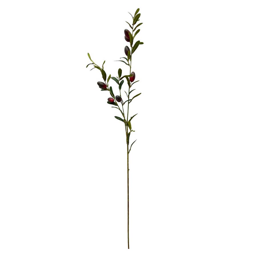 Rama de aceitunas rojizo - Galerías el Triunfo - 028071005122