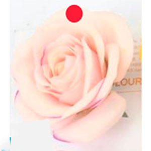 Vara con rosa color - Galerías el Triunfo - 028071005185