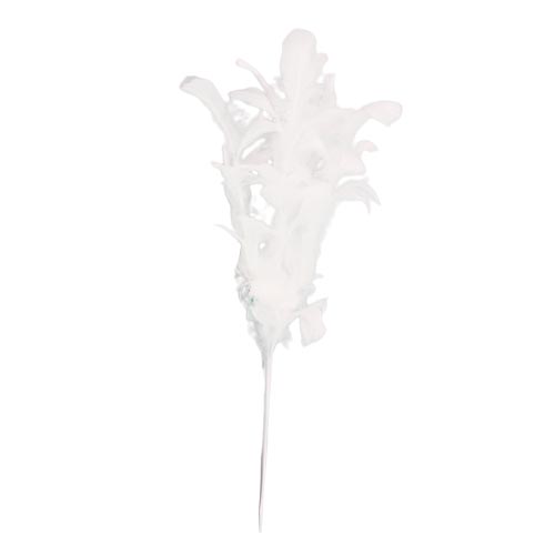 Vara de plumas blancas - Galerías el Triunfo - 044071816169