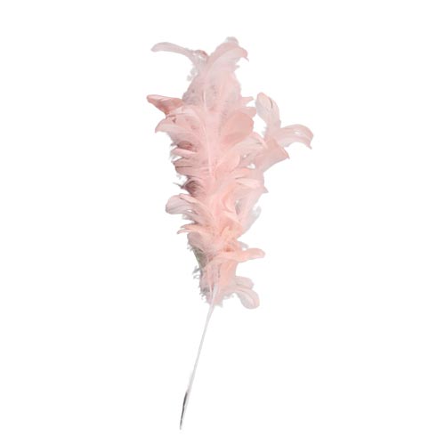 Vara de plumas rosa - Galerías el Triunfo - 044071816170