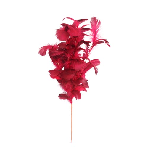 Vara de plumas vino - Galerías el Triunfo - 044071816172