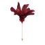 Pick de plumas vino - Galerías el Triunfo - 044071816176