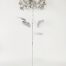 Vara de hortensia plateada - Galerías el Triunfo - 049072641189