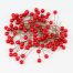 Bolsa con 100 cerezas - Galerías el Triunfo - 049072724090