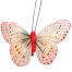 Mariposa roja con pinza - Galerías el Triunfo - 100307378261