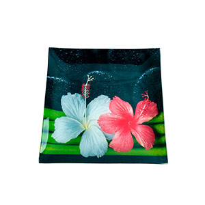 Plato de cristal cuadrado - Galerías el Triunfo - 120071887081