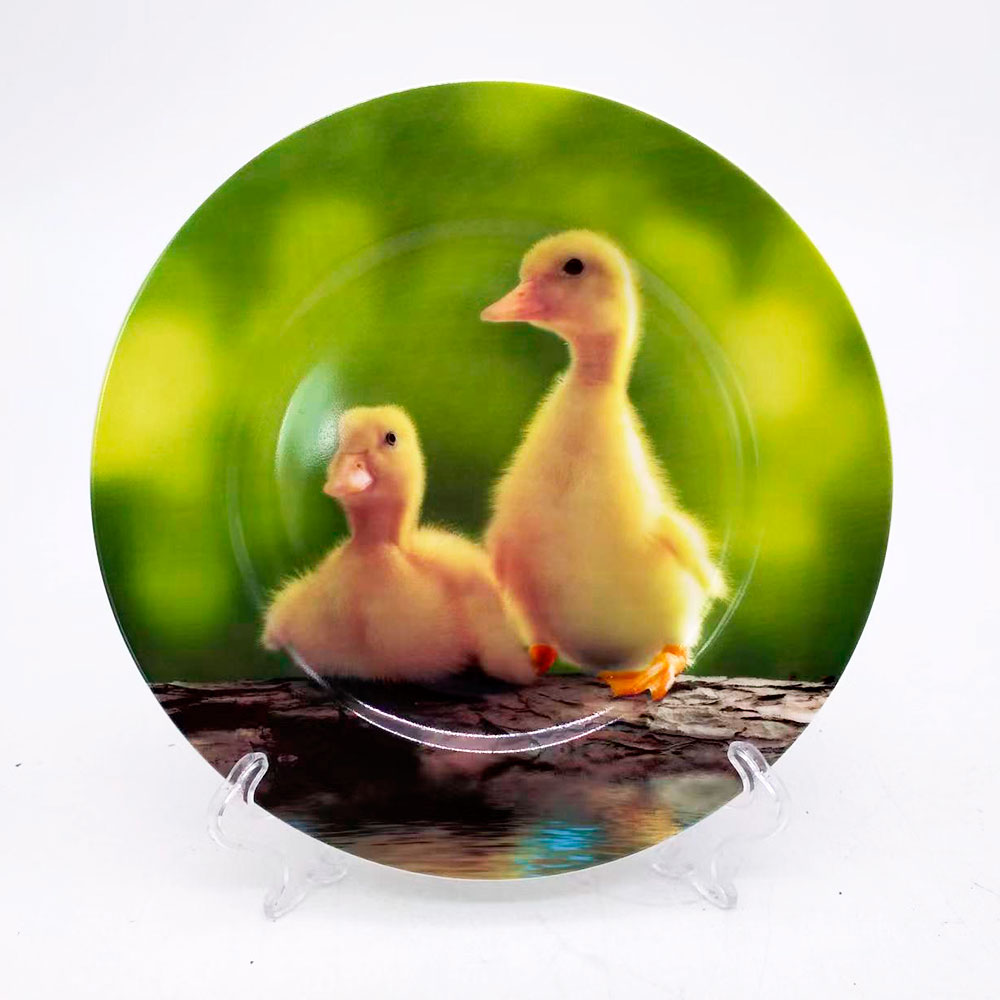 Plato de cerámica estampado - Galerías el Triunfo - 156072791127