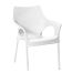 Silla de plástico imitación - Galerías el Triunfo - 168172780079
