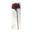 Vara con flor mini - Galerías el Triunfo - 221001736496