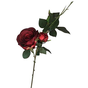 Vara de Rosas boton - Galerías el Triunfo - 241171736487