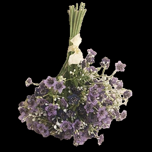 Ramo de flores - Galerías el Triunfo - 281001736552