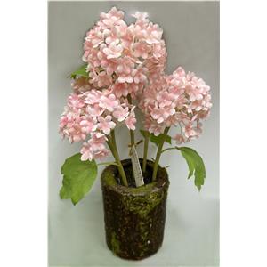 301001736322-galerías el triunfo