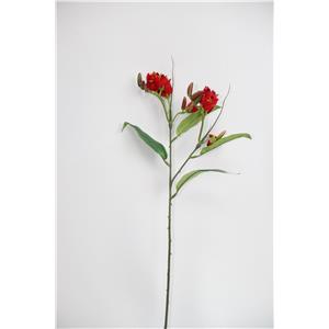 028071005210 - Galerías el Triunfo