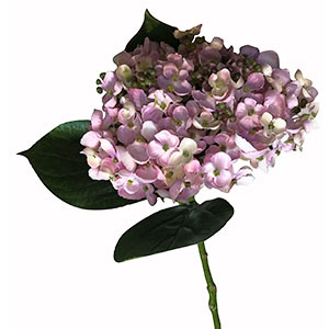 281001736040-galerias el triunfo