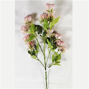 291001736494-galerias el triunfo