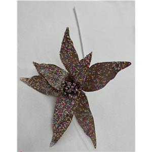 291001736973-galerias el triunfo