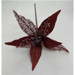 291001736987-galerias el triunfo