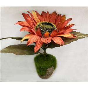 301001736302-galerias el triunfo