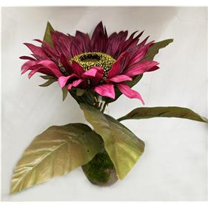 301001736303-galerias el triunfo