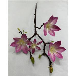 301001736341-galerias el triunfo